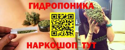 не бодяженный Гатчина