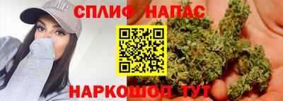 не бодяженный Гатчина