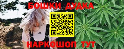не бодяженный Гатчина