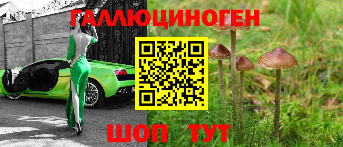 Галлюциногенные грибы Psilocybe  Вход с VPN  Городец 