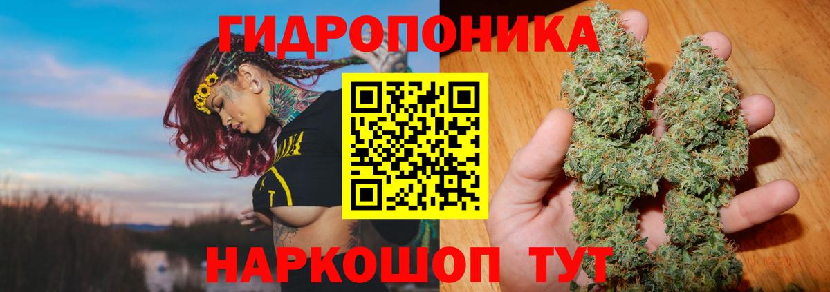 Бошки марихуана Bruce Banner Городец